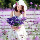 薰衣草唯美清新的QQ女生意境头像