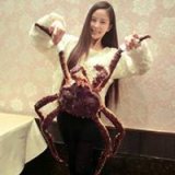 你深情似海却不为我 女生头像