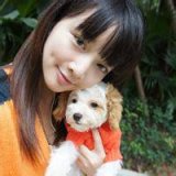 喜欢萌宠猫咪的女生QQ头像
