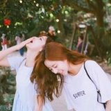 见过玫瑰的人，很难再爱上野花