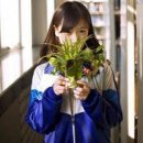 一如既往的 爱你