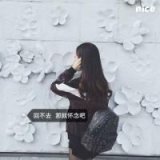 偏偏我固执 只钟情于你一人
