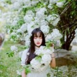 太阳万丈光芒 却不及蜡烛只为一人发光