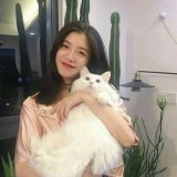 我活着不容易，没必要讨好你