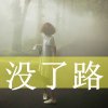 一场梦，也只是虚梦一场