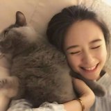 可爱de猫咪女生合影头像