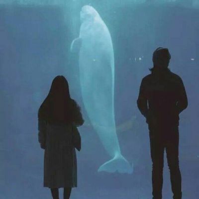 情侣头像qqjay