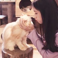 情侣头像qqjay
