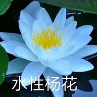 情侣头像qqjay