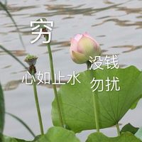 情侣头像qqjay