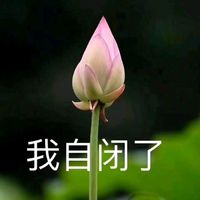 情侣头像qqjay