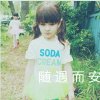 安分守己的小青春