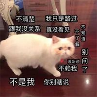 情侣头像qqjay