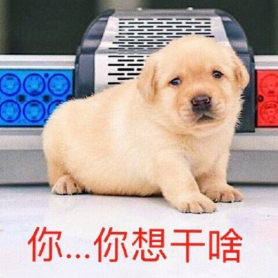 情侣头像qqjay