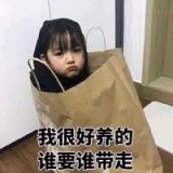 我们，结束了