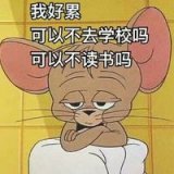 元气满满的新学期