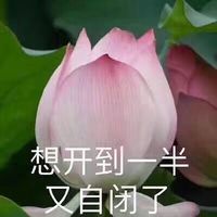 情侣头像qqjay