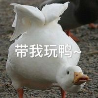 情侣头像qqjay