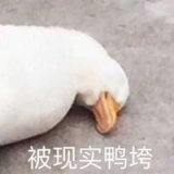 嘎嘎嘎嘎 嘎嘎嘎嘎