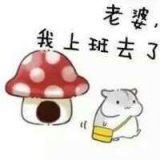 关爱老婆的QQ表情小仓鼠