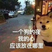 情侣头像qqqqp