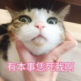 仙女不会做错的。