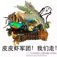 情侣头像qqqqp
