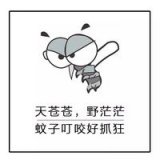夜来啪啪声，蚊子死多少