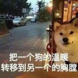 你是我等的狗吗？