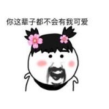 狗哥，算了
