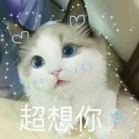 情侣头像qqjay