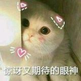 骗你是小猫