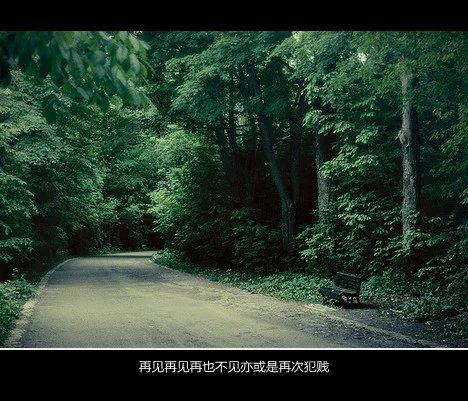 唯美图片，文字图片,情侣图片qqqqp