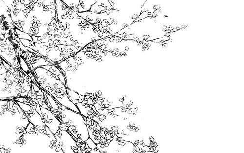 唯美图片，文字图片,情侣图片qqqqp