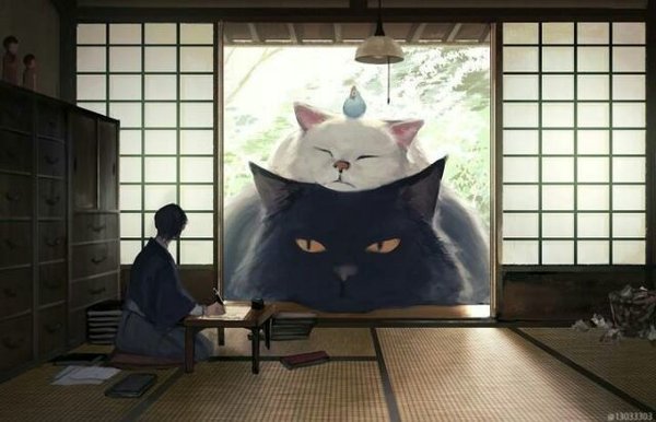 喜欢 二次元