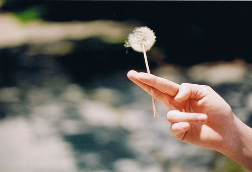 有关手的唯美意境图_让泪水撕碎相爱的虚伪