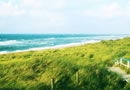 海南风景图片 安静的陶醉也是一种美