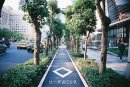 那些和我们打过招呼的爱情