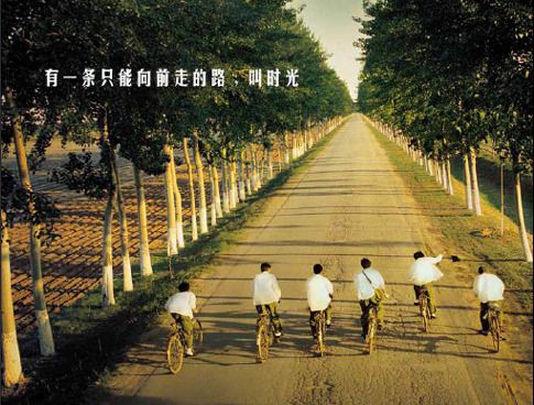 再见年少时的我们
