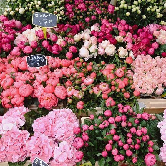 鲜花