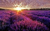 意境美图 很有FEEL