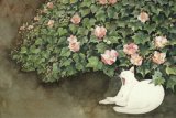 猫与少年