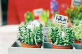 因为你，我懂得了成长，可你，依旧是我的伤。