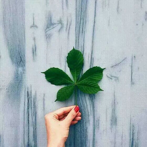 幸福 就像你身后的影子 111