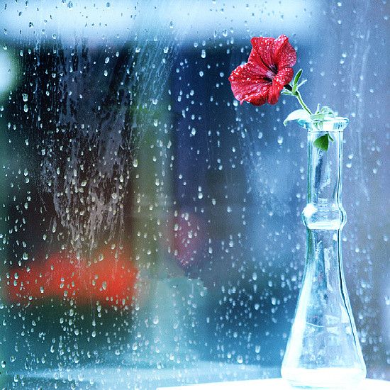 雨天 橱窗边