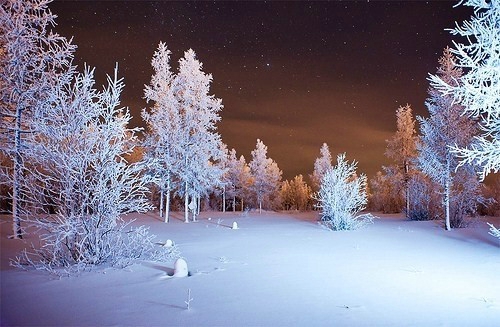 唯美意境雪景图片