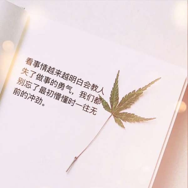 橘子就酱吃