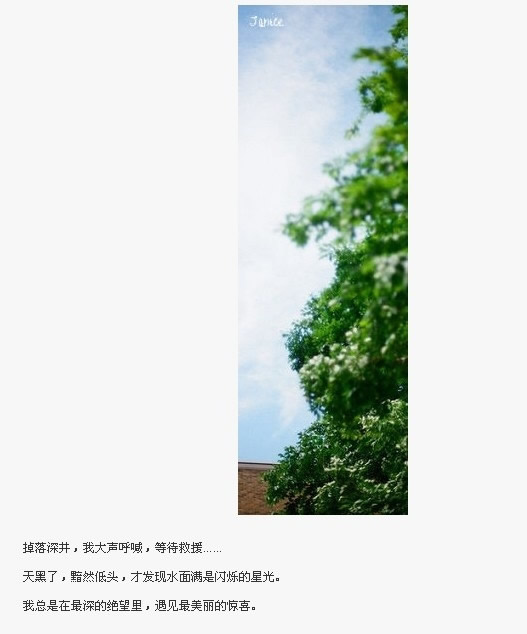 没了当初那份纯真
没了当初那份轻松
只剩牢牢的束缚
