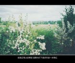 忽然有一天你不再对我诉说