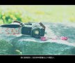你看不见我的心有多受伤